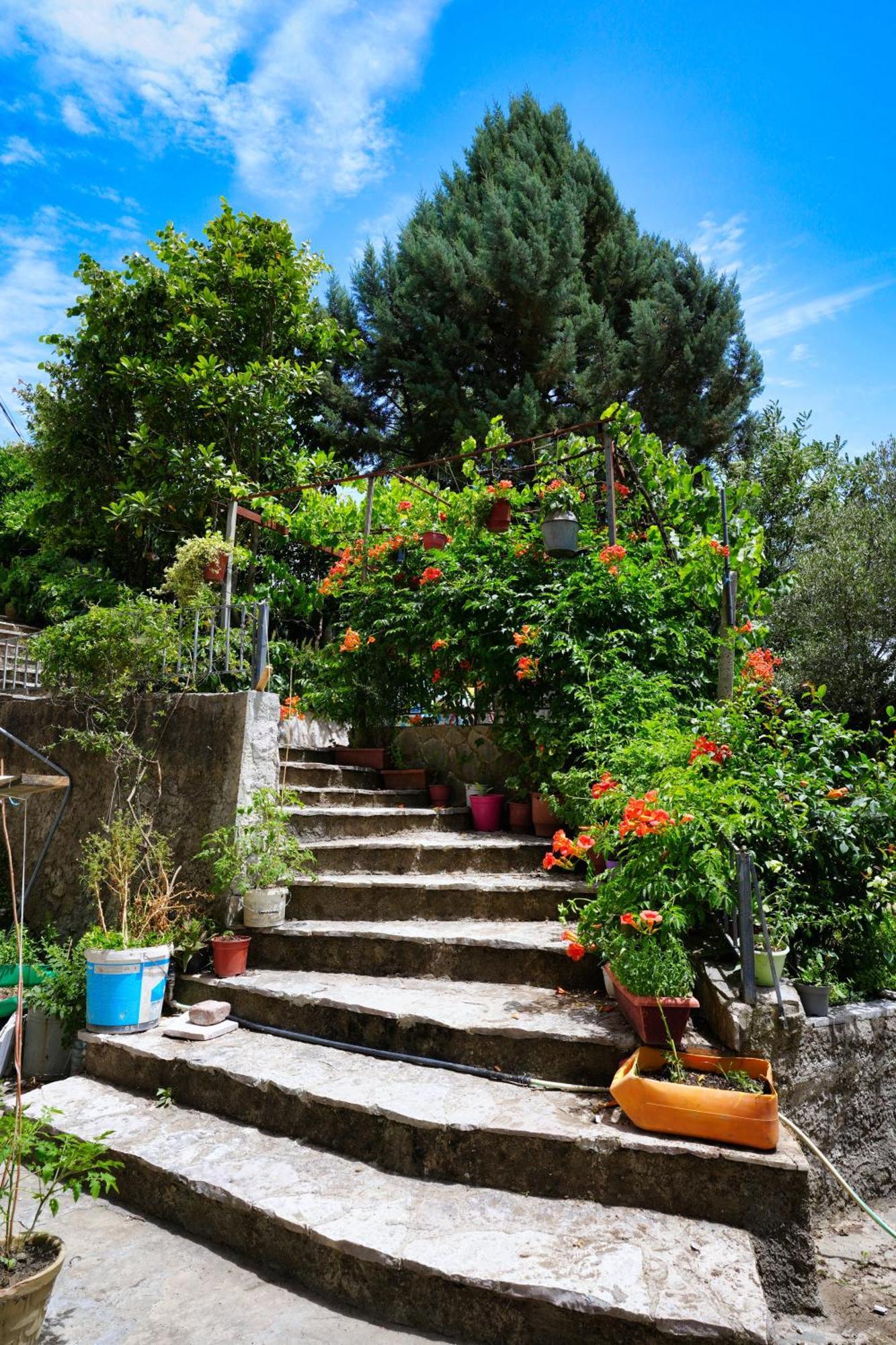 Vila Banushi Gjirokastër Exteriör bild